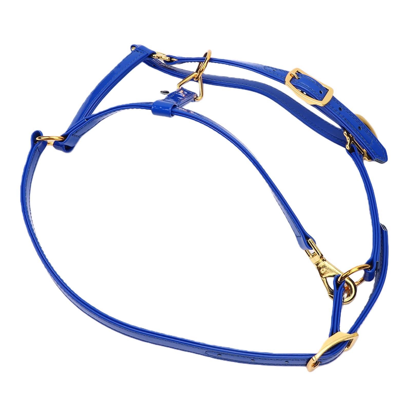 20mm Cavezza per Cavallo, Pelle Smaltata a Doppio Strato, | Finimenti per cavallo impermeabili, testiera facile da pulire, hardware placcato in oro per passeggiate su pista, cavezza