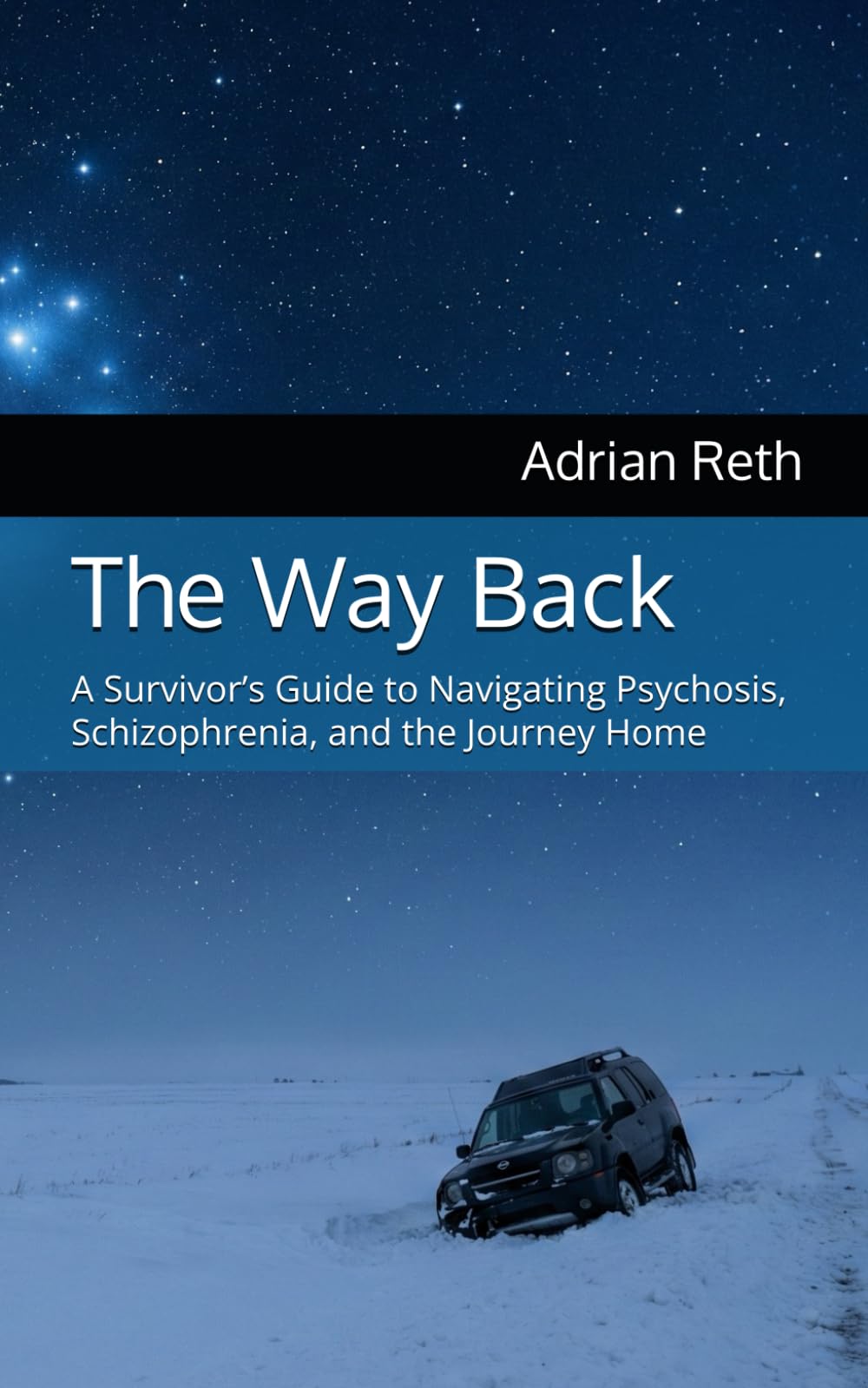 The Way Back: A Survivor’s Guide to Navigating Psychosis, Schizophrenia, and the Journey Home