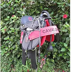 Sela Australiana De Arco Preta Bordada Arreada Preta Completa De Passeio Nova + Itens