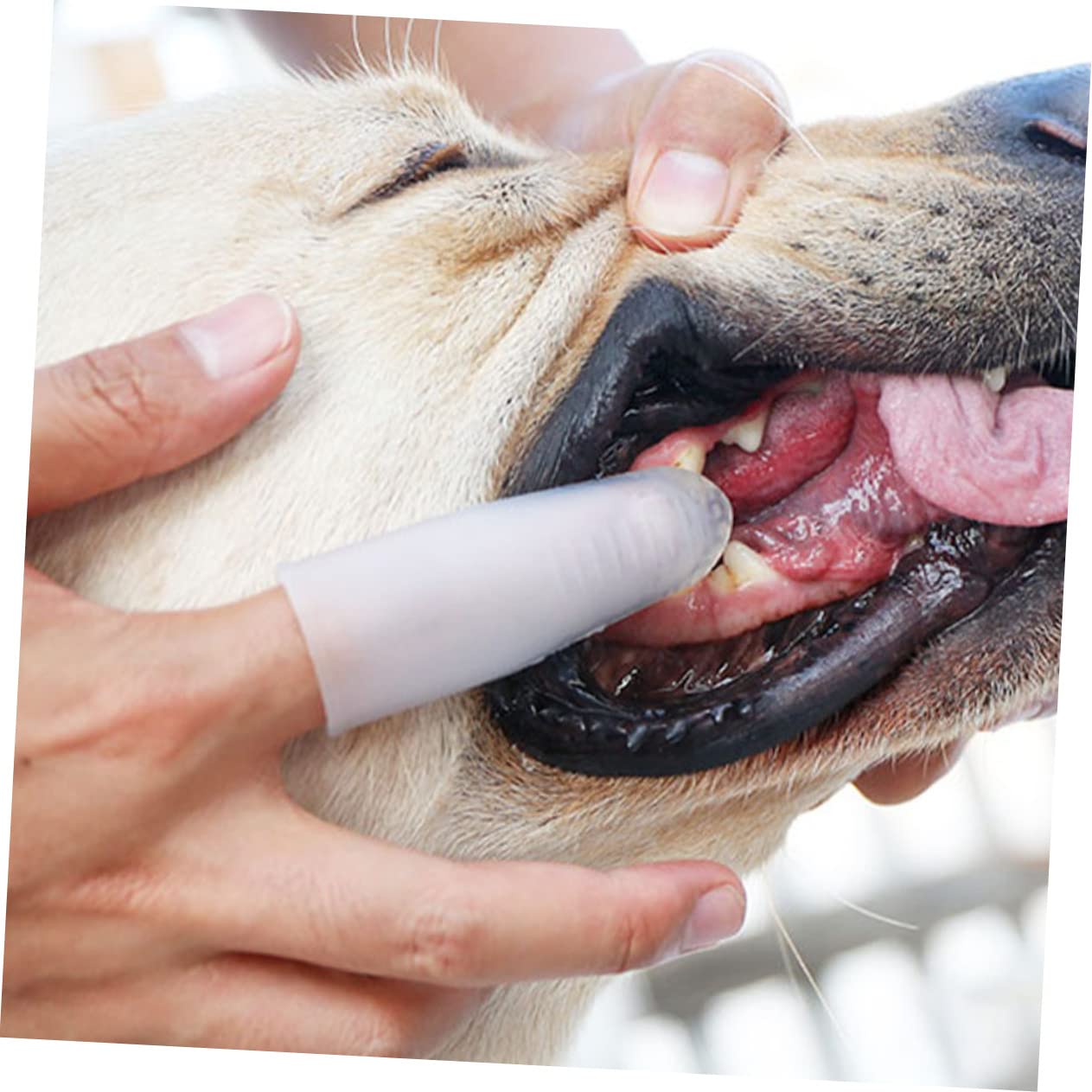 3 Stücke Finger Schutzhülle Zahnbürste Set Hund Katze Zahnbürste Stift Für Pet Oral Reinigung