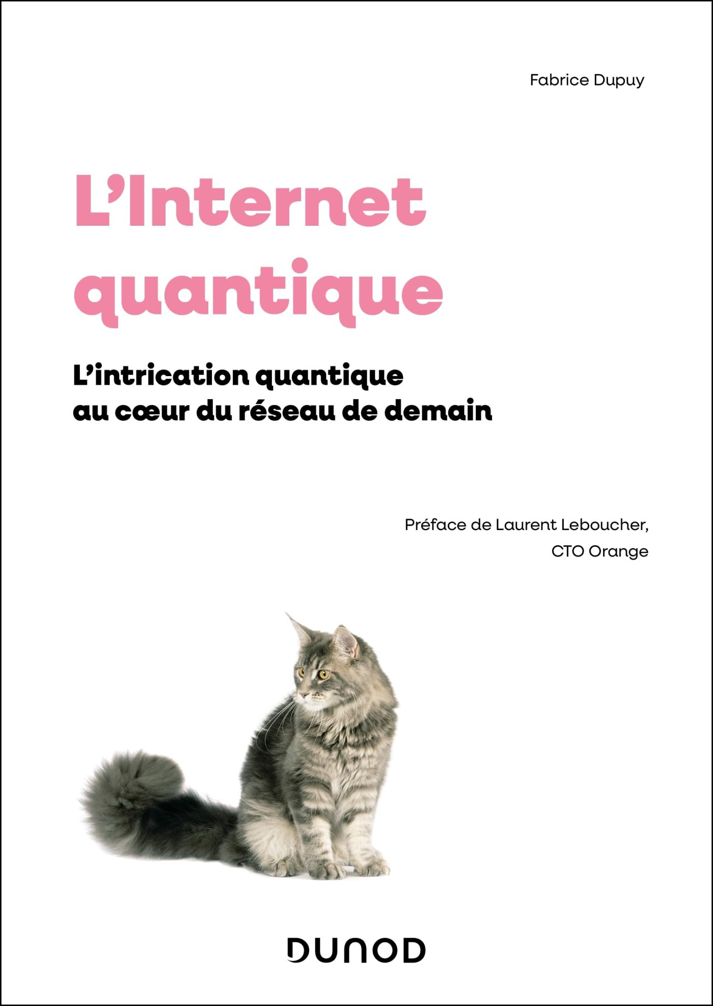 L'Internet quantique: L'intrication quantique au coeur du reseau de demain