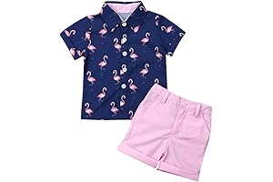 Adorable Flamingo-Themed Summer Outfit for Toddler Boys