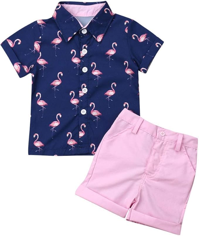 VISGOGO Flamingo Shirt & Shorts Set