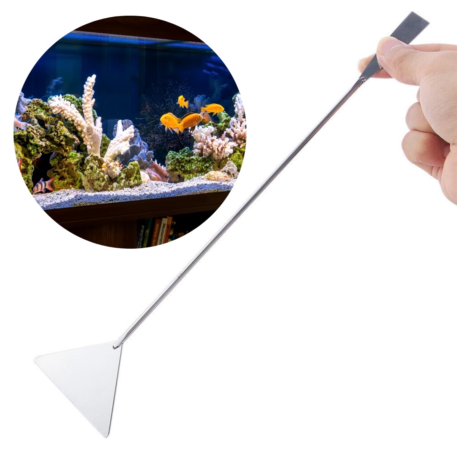 Sage Square DualSide Stainless Steel Algae Scraper for Aquarium Glass Cleaning - Two-in-One Design, Scratch-resistant scraper blade, Professional-grade cleaning accessory, Versatile algae remover (B0CZ3SFF8Q) Amazon Price History, Amazon Price Tracker