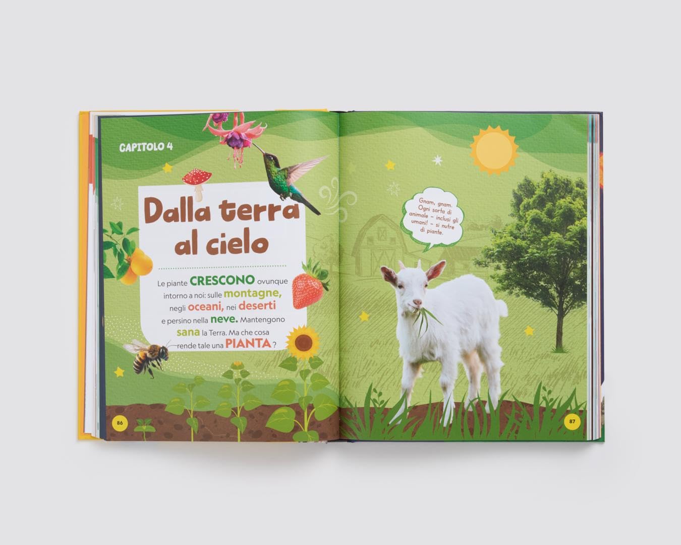 La mia prima grande enciclopedia. Ediz. a colori