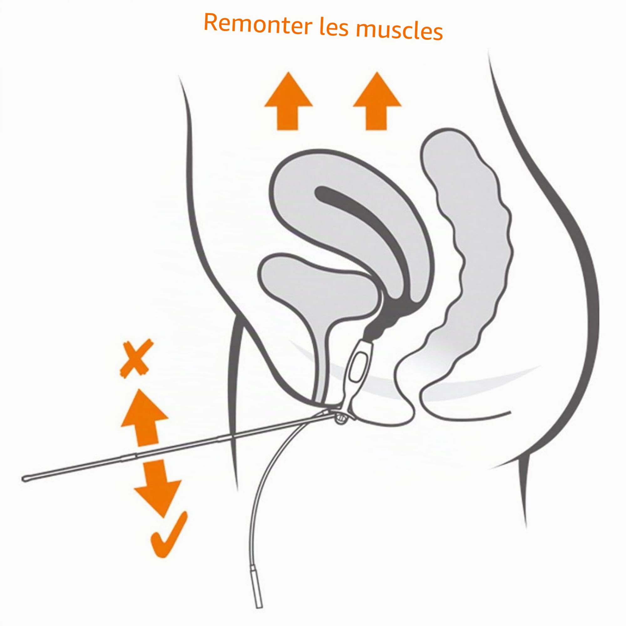 Neen Periform Plus Sonde Intra-Vaginale, Dispositif De Tonification, Renforce Les Muscles, Électrodes Profilées Pour Une Stimulation Confortable, Facile à Nettoyer
