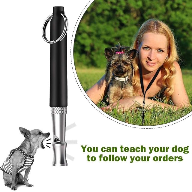 Foto 6 de 7 de Graootoly Perro, entrenamiento profesional de perros para detener ladridos de frecuencia ajustable…
