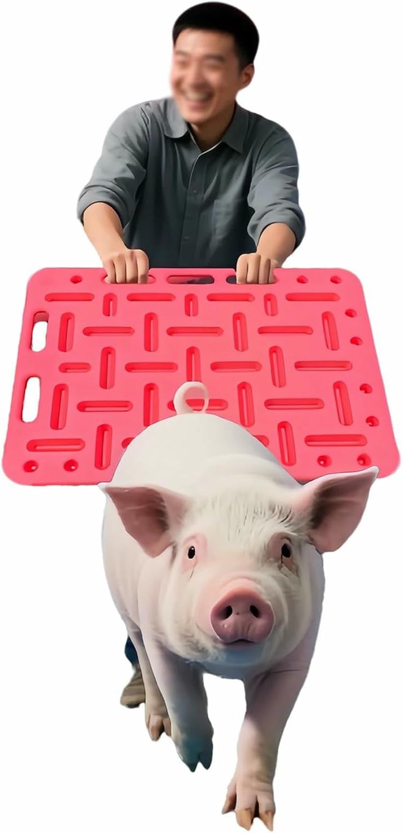 Zmjgll Sorting Panel For Livestock,Lightweight Pig Board For Protect Farmers,Livestock Divider Panel For Pig,Cattle,Sheep,Improve Work Efficiency (Small)