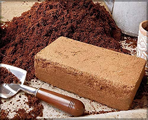 Image of Coir Block /Cocopeat Block - 650 Grams | Expands up to 3.5 Liters | Coconut Coir | Garden Manure | Organic Fertilizer | Compost for Gardening | | Natural Soil Mix- Gardenhunt (Pack of 1 No)