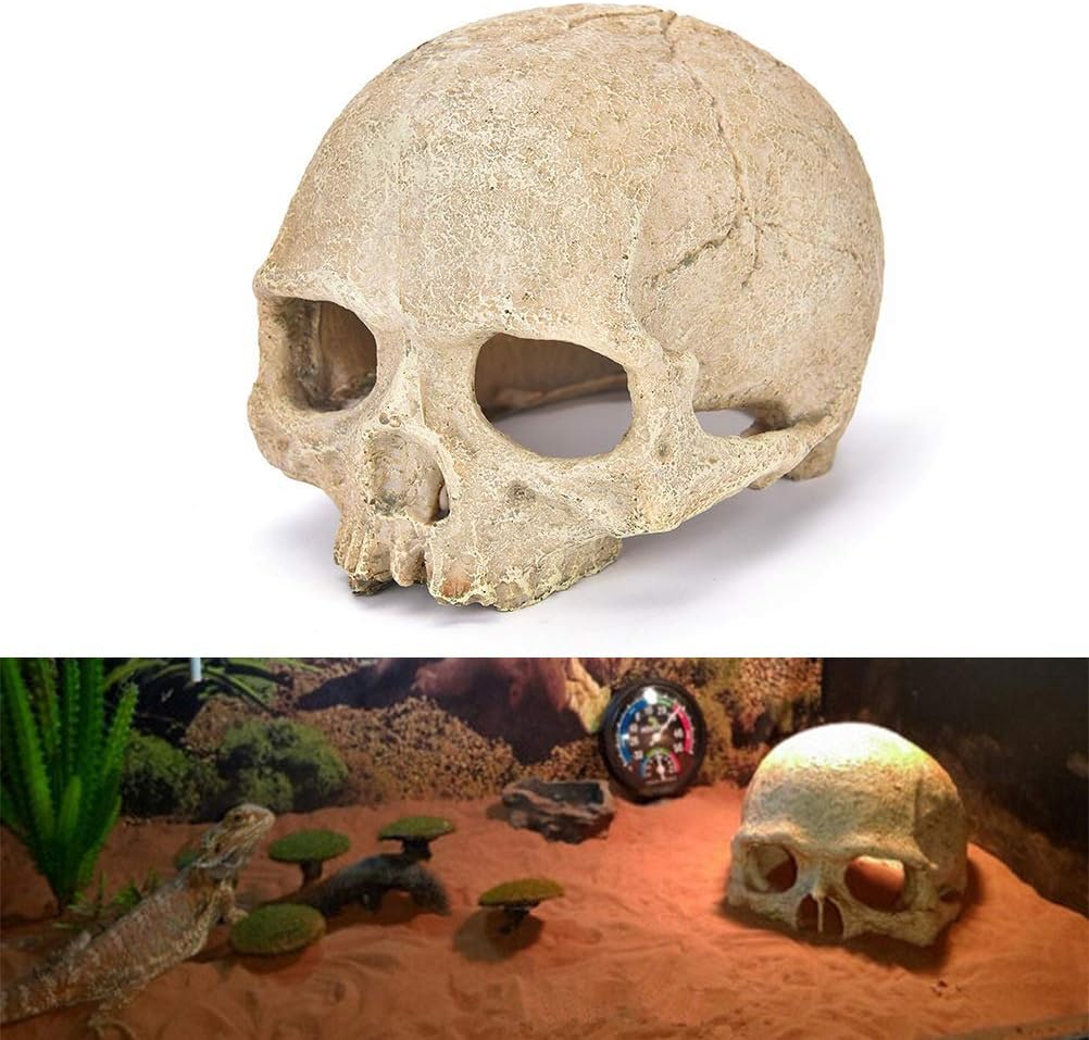 Skull Fish Shrimp Cichlid Hide Cave Reptiles Shelter Lizards Spider Aquarium Decoration Skull Rock Betta Fish Hideout Breeding Hatchery (Skull)