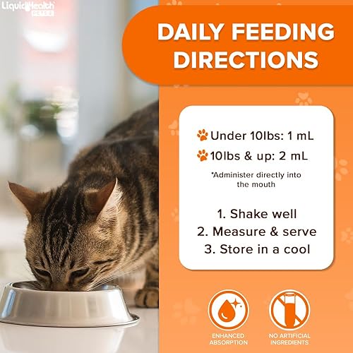 Miniatura 4 de LIQUIDHEALTH Pets Liquid Cat Glucosamine Joint Purr-Fection - Apoyo para Alivio de Salud de Cadera y Articulaciones, Goteros Felinos de Condroitina