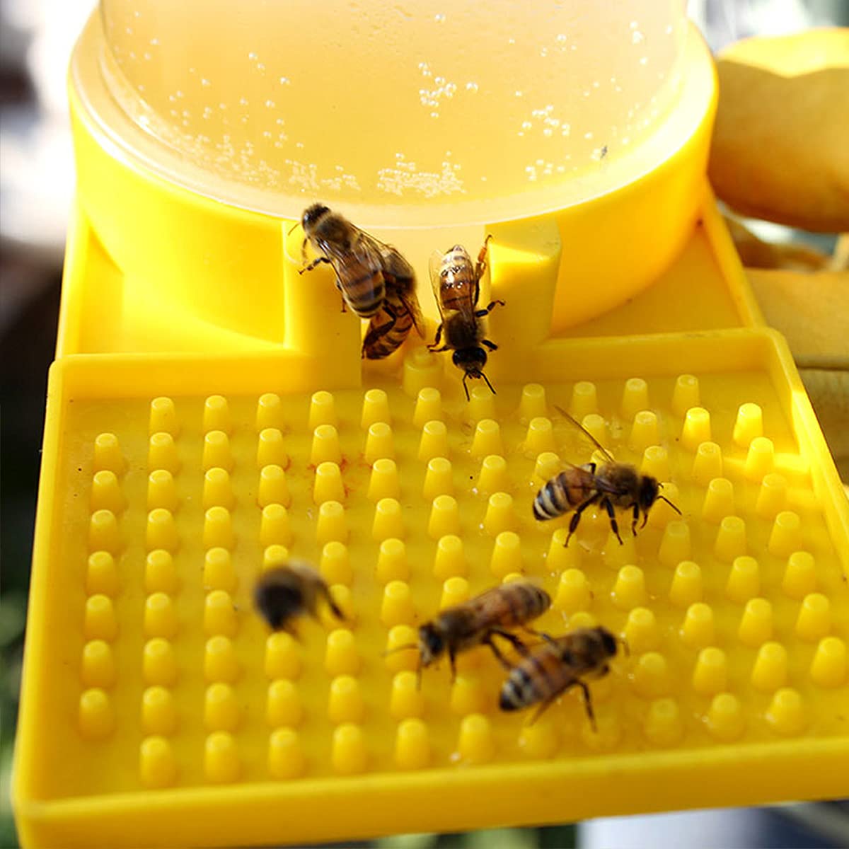 4 Pièces Distributeur D'Eau Pour Abeilles,Abreuvoir Pour Abeilles Jaune Conception En Nid d'Abeille Réutilisable pour l'Équipement Apicole