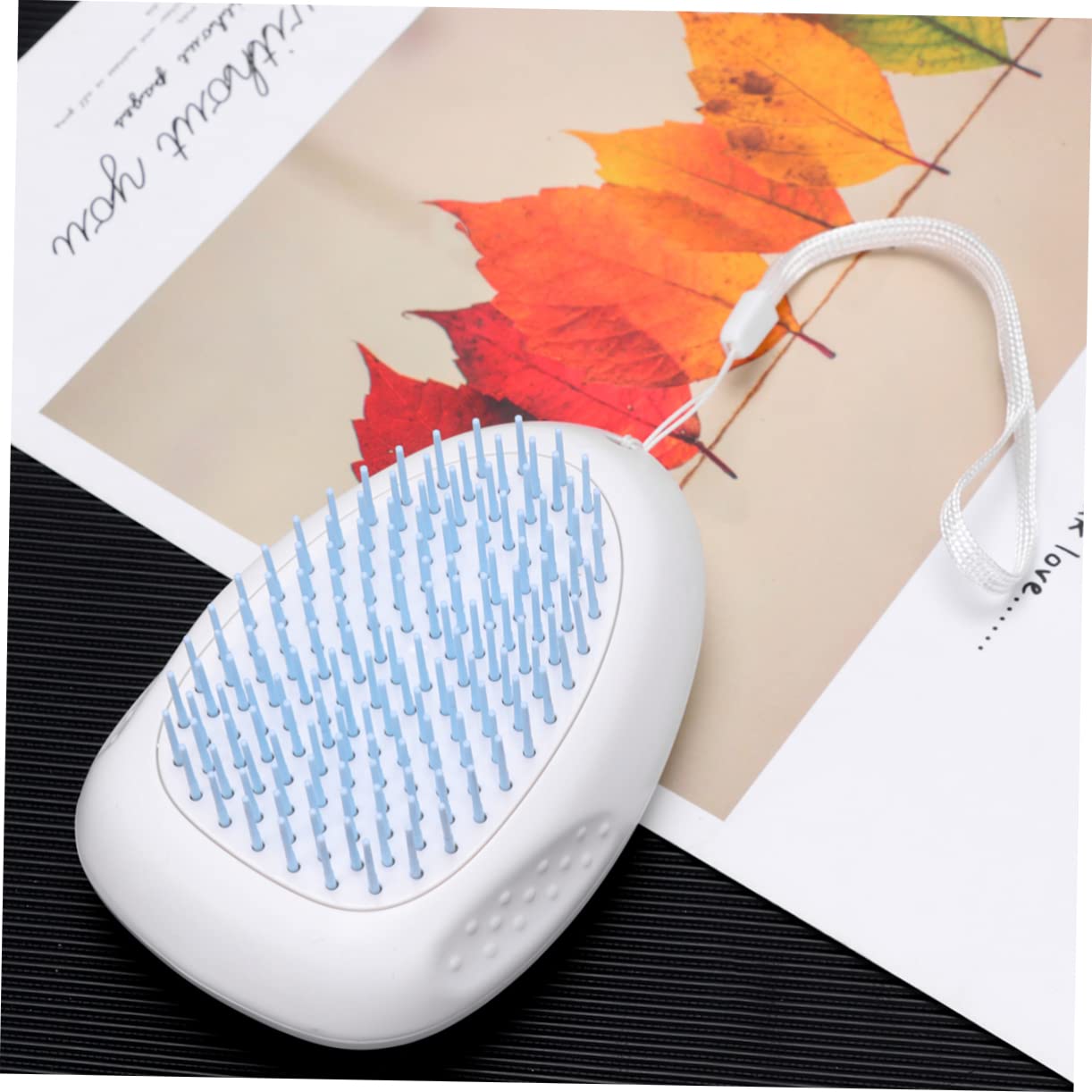 YARNOW 3 Pièces peigne de chat brosse à poils de chien outil de toilettage pour animaux de compagnie brosse pour chien peignes pour de toilettage pour épilation