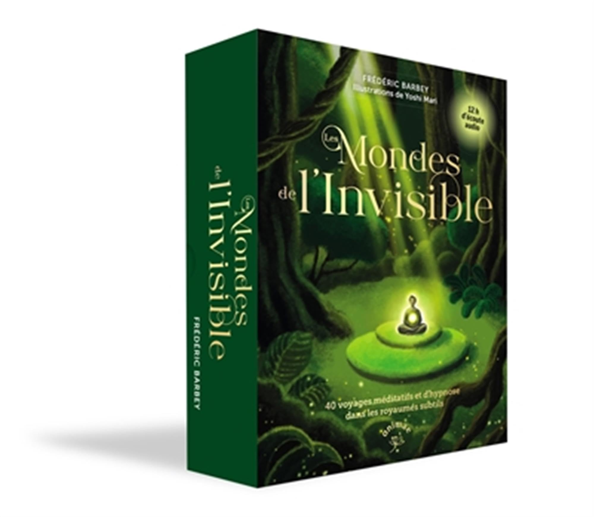 Les Mondes de l'invisible: Avec 40 cartes