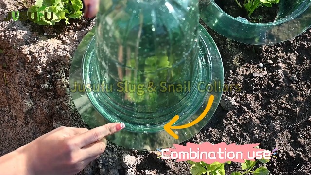 Acheter Cloches de jardin, colliers de jardinière, résistants aux intempéries, réutilisables, protection contre les escargots, couverture végétale, 10/15/20 pièces Acheter Cloches de jardin, colliers de jardinière, résistants aux intempéries, réutilisables, protection contre les escargots, couverture végétale, 10/15/20 pièces