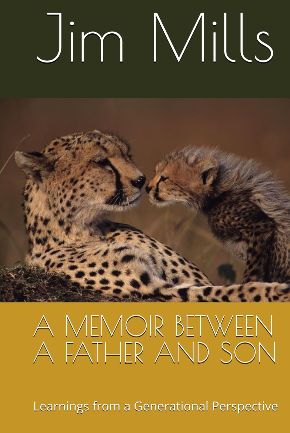A MEMOIR BETWEEN A FATHER AND SON: Learnings from a Generational Perspective