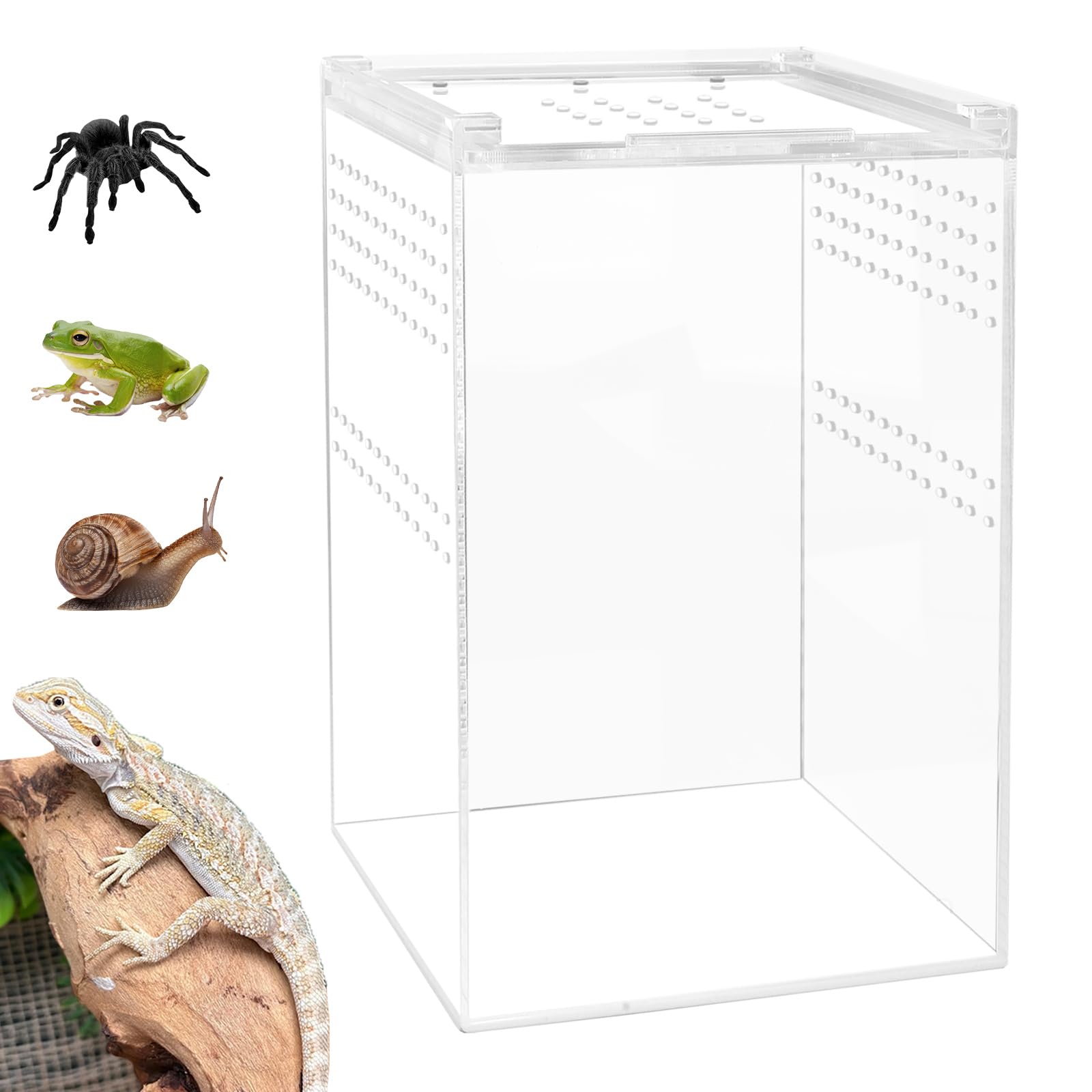 Jumping Spider Enclosure with Magnetic Button,6 * 6 * 5" Thickened Tarantula Reptile Enclosure,One-Piece Acrylic Reptile Terrariums for Spider,Praying Mantis,Tarantula,Snail,Isopod Enclosure