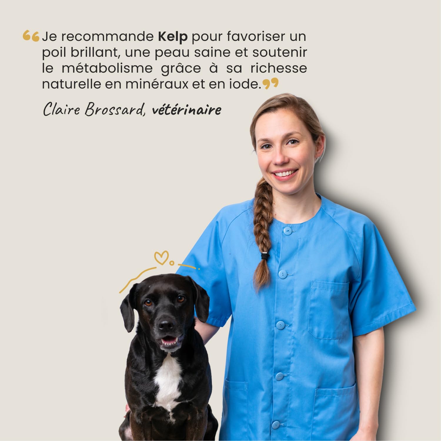 Kelp en Poudre pour Chien et Chat - Complément Alimentaire 100% Naturel - Riche Iode et en Minéraux - Boost Les Défenses Immunitaire - Soutien la Thyroïde - 100g