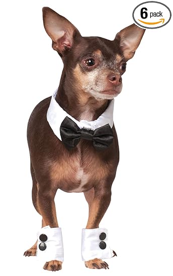 Rubies Costume Company Bowtie and Cuff Set Pet Accessories, Small/Medium