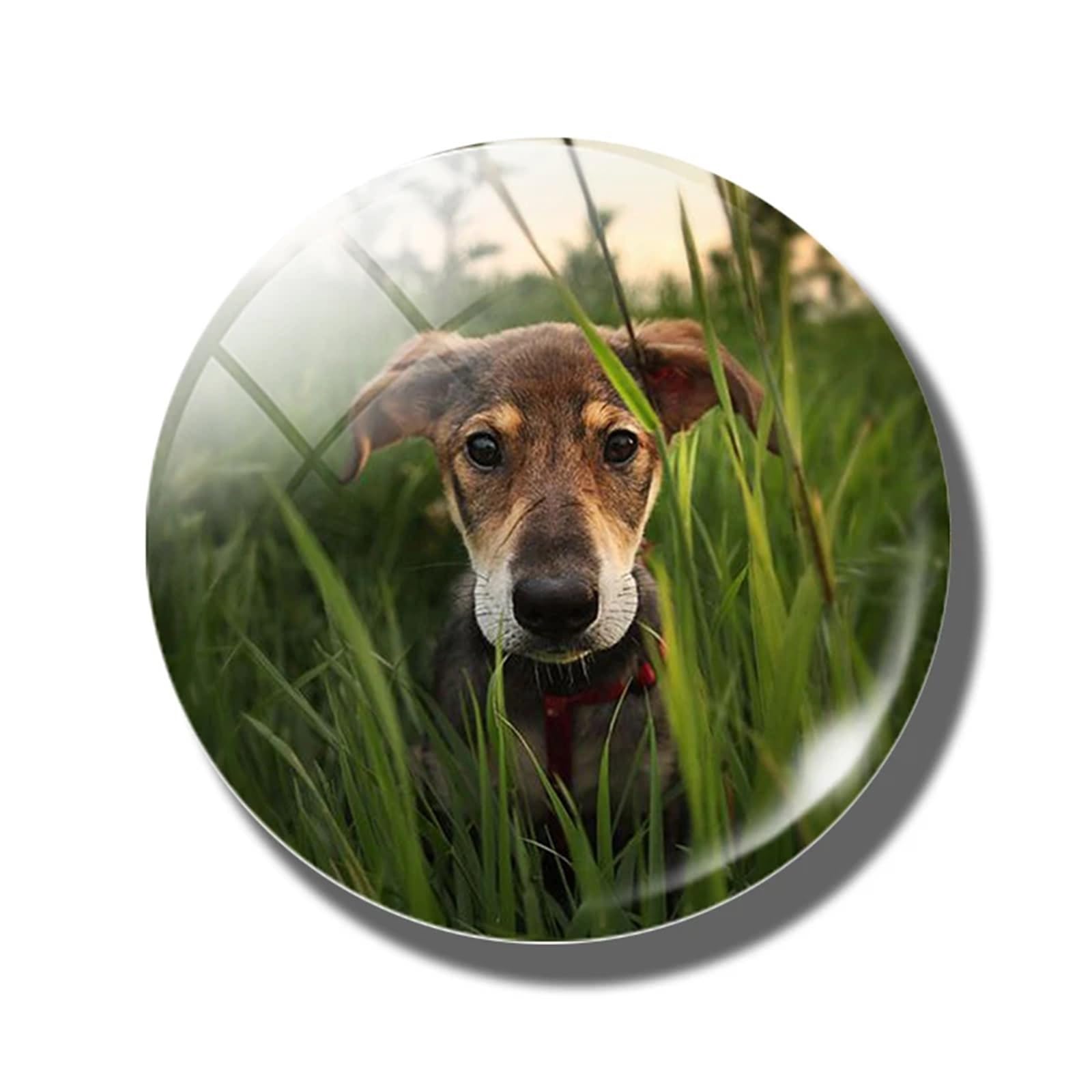 Fridge Magnets 6pcs 30 MM Fridge Magnet Lover Glass Dome Magnetic Refrigerator Stickers Note Holder Home Decoration(Color-24)