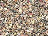 BURI Rheinkies bunt 25Kg 8/16