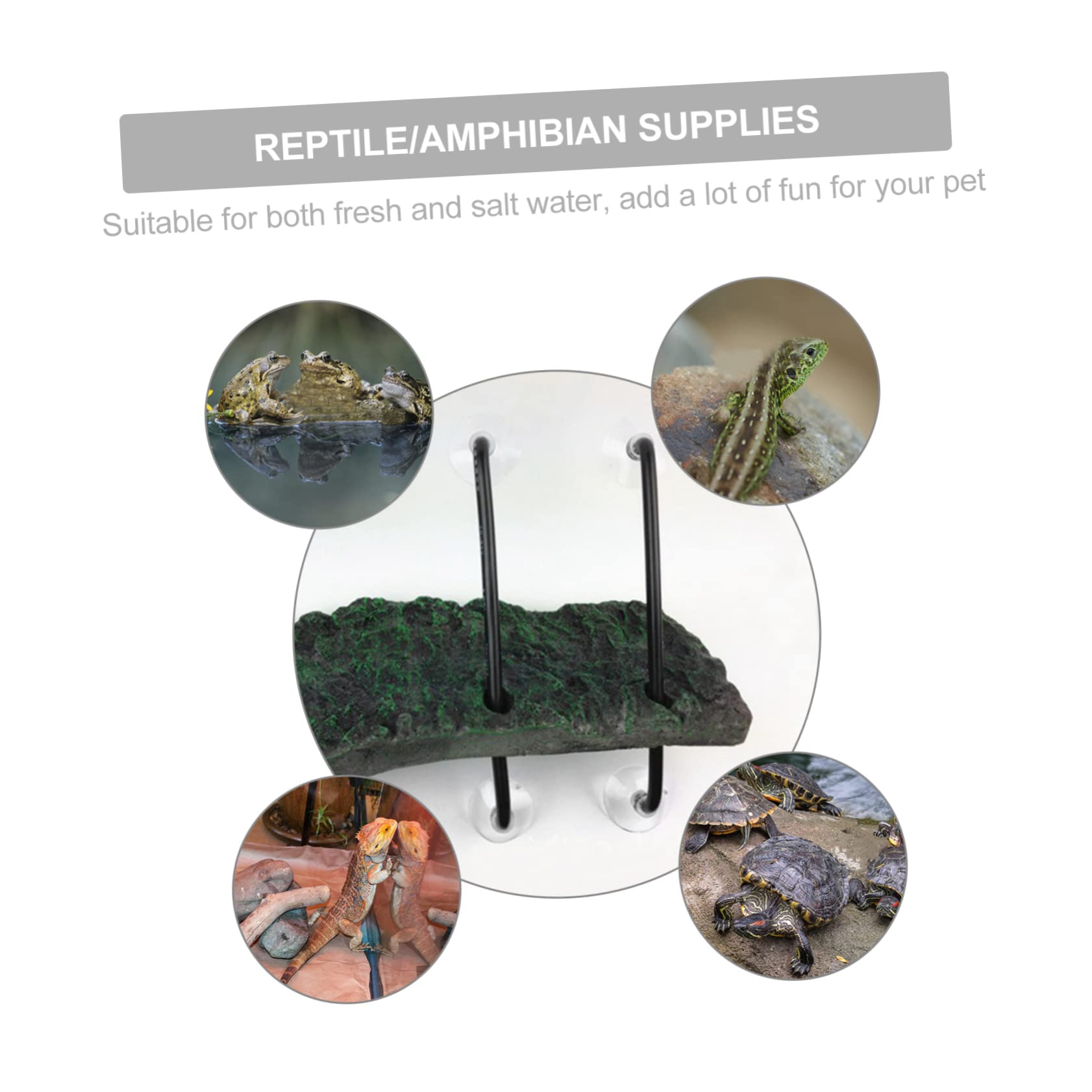 Yardwe 3 Pz Piattaforma di Sollevamento per Tartarughe Piattaforma Decorazioni per acquari petg terrario Tartarughe Accessori Tartarughe d'Acqua Arredamento dell'acquario