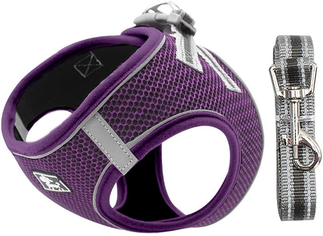No Pull Dog Harness Small Dogs, Soft Mesh Reflective Breathable Step-In Dog Cat Harness and Lead Set for Puppy Cat Pet Vest with Leash Adjustable for Outdoor Walking, Training Purple XS