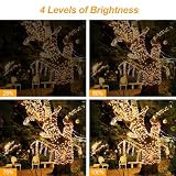 Tacobey LED Lichterkette Weihnachtsbaum Außen Innen mit Fernbedienung, 20M 200 LED Weihnachtsbeleuchtung Außen Strombetrieben, Timer, 8 Modi, Wasserdicht Weihnachten Deko Lichterkette Warmweiß