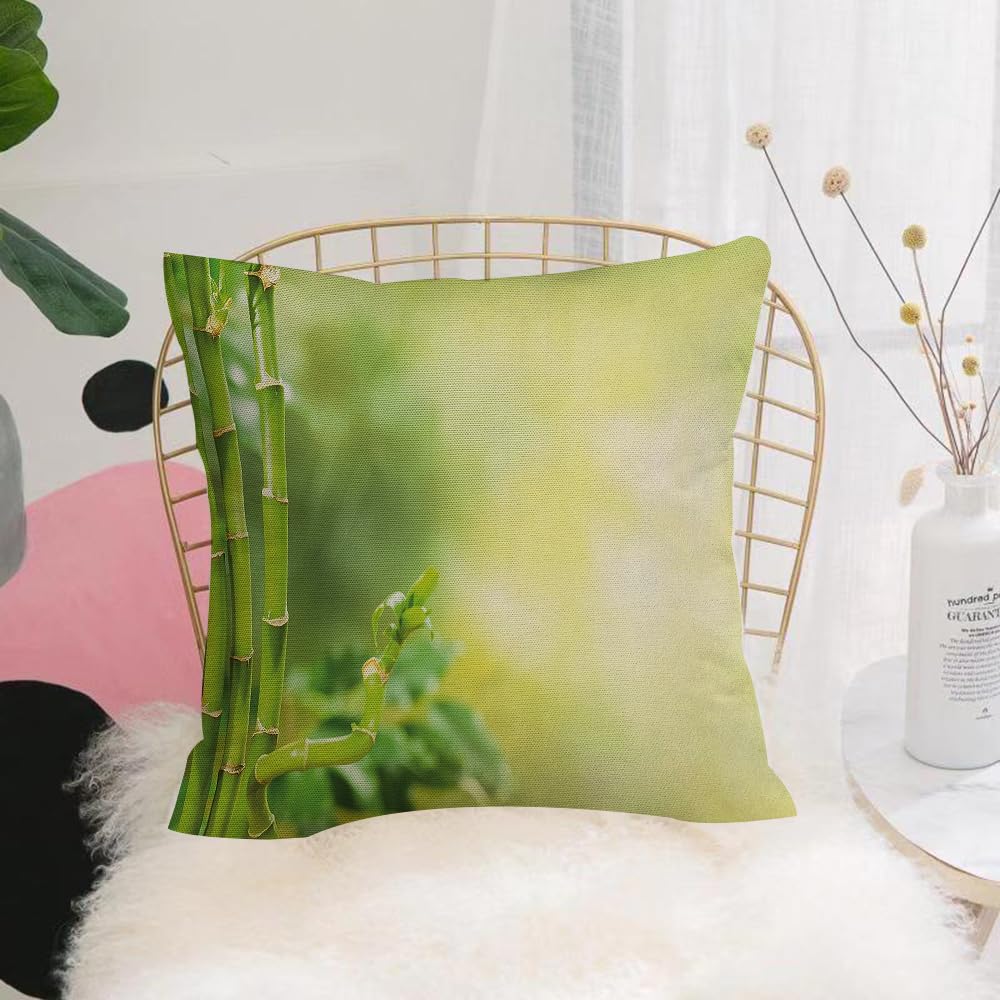 HYOSXW Cushion Cover,Throw Pillow Case Home Decorative for Living Room Bedroom Sofa Chair 16X16 Inch,Bamboo, refreshing picture of light green bamboo branches,Pillowcase 40X40cm