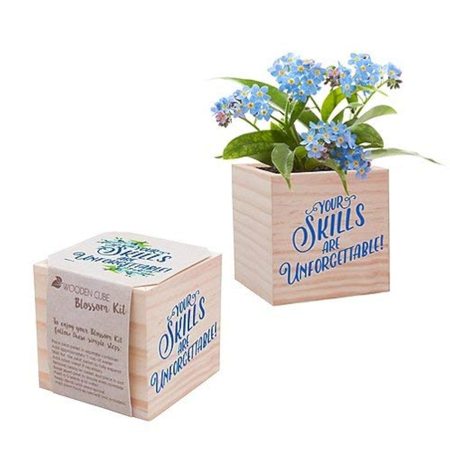 Cheersville! 3-Inch Plant Cube Appreciation Gift - Includes Forget-Me-Not Seed Packet, Peat Pellet, and Wooden Planter - Employee Teacher Thank You Desk Accessory