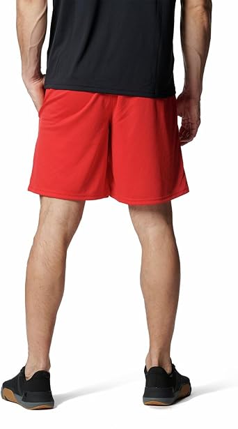 Under Armour Men's UA Tech Mesh Training Shorts