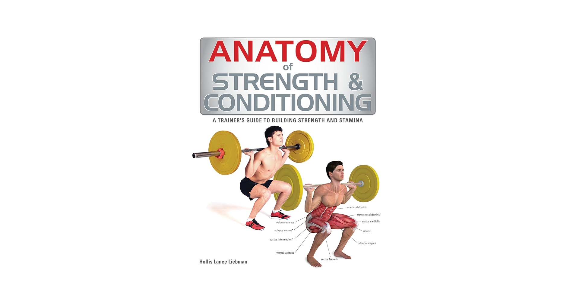 洋書 Strength and Conditioning Anatomy of Strength and Conditioning: A Trainer's Guide to