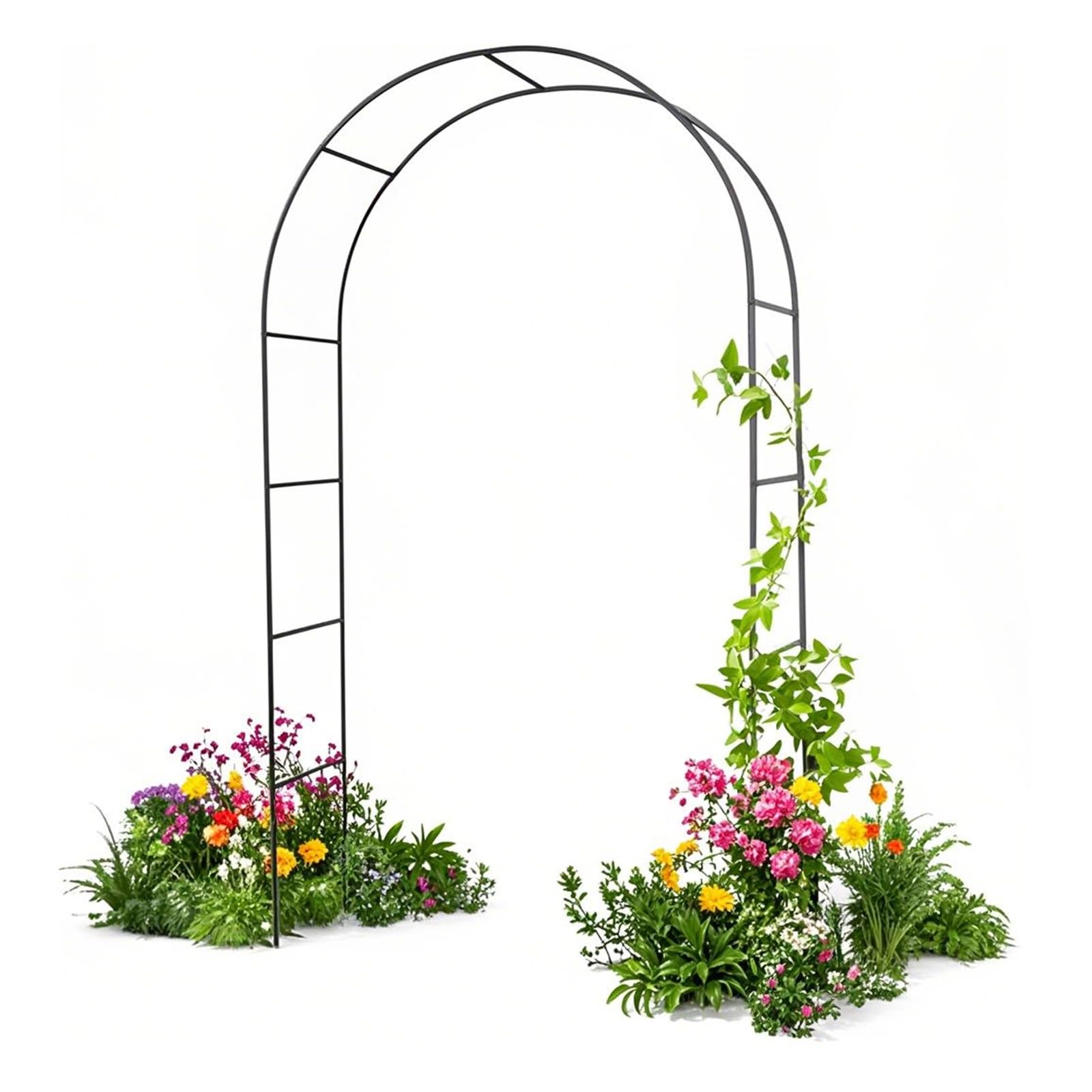 Treillis d'arche de jardin pour plantes grimpantes roses vignes