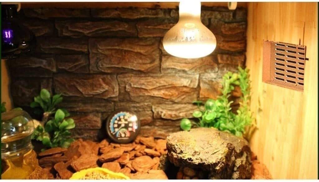 Zbiornik do hodowli płazów, terrarium dla gadów biurowych, pudełko izolacyjne, zbiornik do obserwacji hodowli-klatka dla gadów płazów jaszczurka żółw wąż