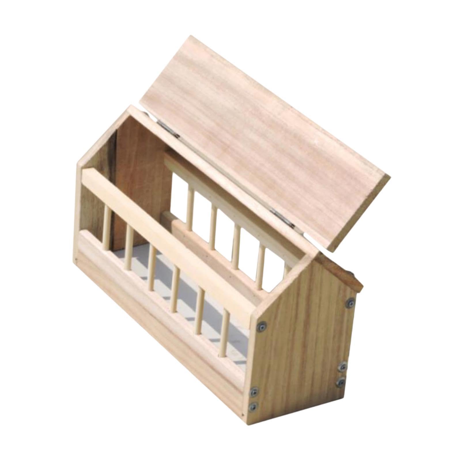 Mangeoire pour poules au jardin : distributeur volailles