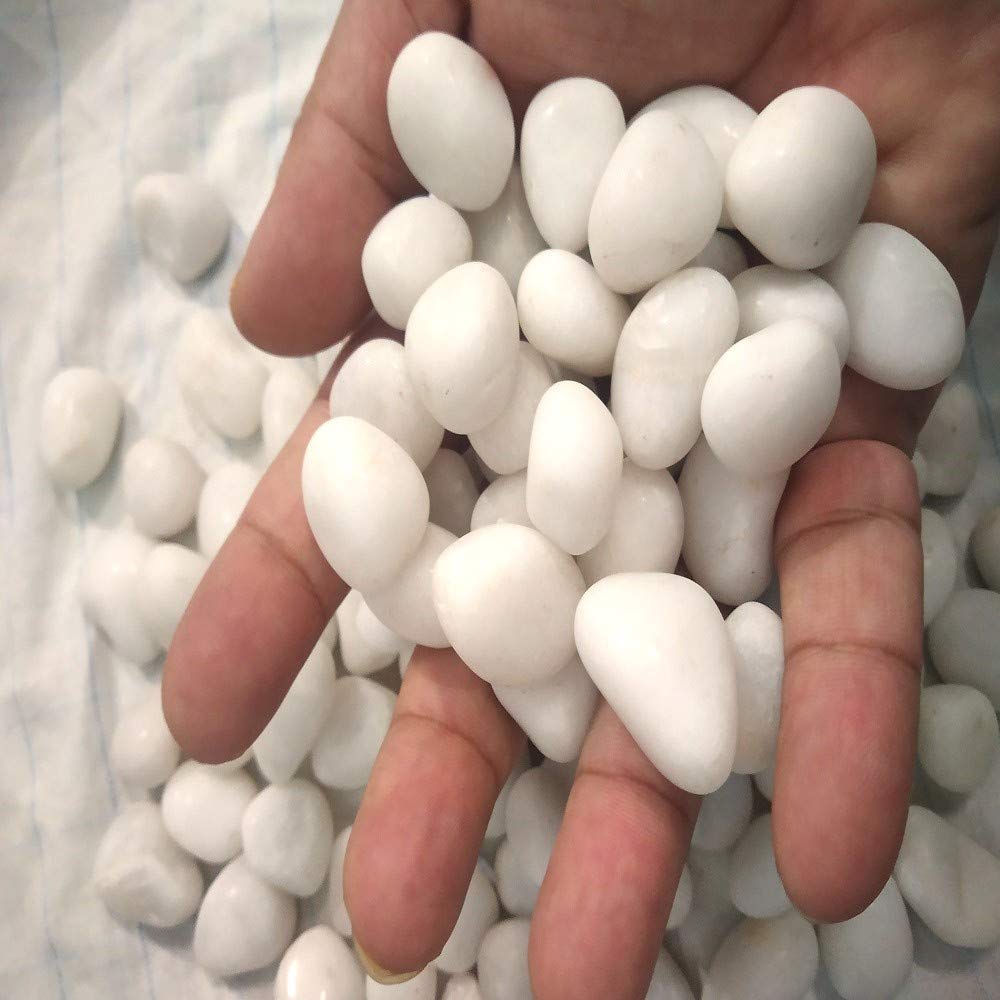 Coco Clouds Glossy Stone Pebbles for Home Decor, Garden, Backyard Patio Pathway Indoor and Outdoor, Decorative Aquarium Vase Filler, Table Scatter & All Purpose White Color Medium Size 1 Kg Item Pack (B08FRDRF97) Amazon Price History, Amazon Price Tracker