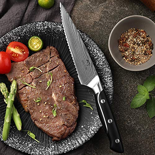 Nanfang Brothers Damascus Kitchen Knife Sets, 9 Pieces Kitchen Knives Set With Block thumb #8