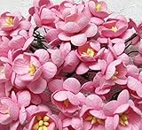 50 Pcs Cherry Blossom Pink Mulberry Paper Flower 25 mm Scrapbooking Wedding Doll House Supplies Card Project