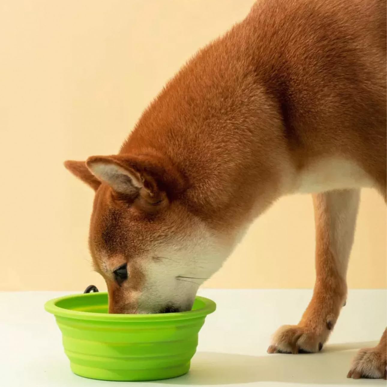 Portable Silicone Pet Bowl with Carabiner for Dogs & Cats (Purple)