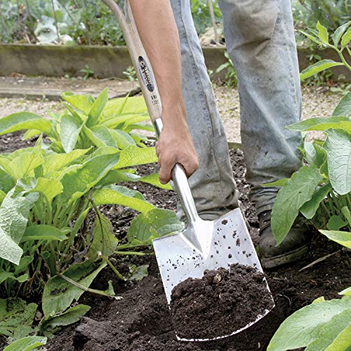 Spear & Jackson 4450Ds Traditional Stainless Digging Spade, 1-Pack, Multicolored #TOP6