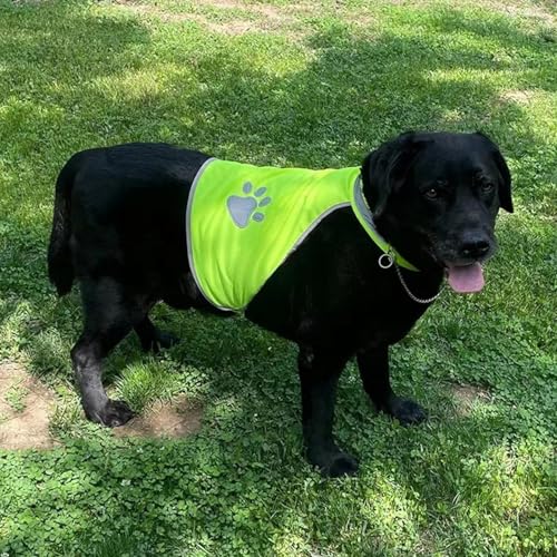 Sicherheitsweste Für Hunde – Fluoreszierende Sicherheitsweste Für Haustiere Im Freien | Warnweste Für Hunde Mit Hoher Sichtbarkeit Für Die Nacht, Schützt Ihren Welpen Hunde-Jagdweste, Reflektierend, H