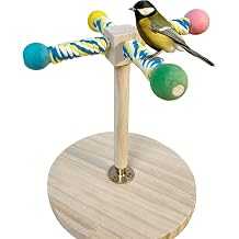 Tischvogelst nder Naturholz Stabiler Interaktiver Spielst nder-Sitzstange