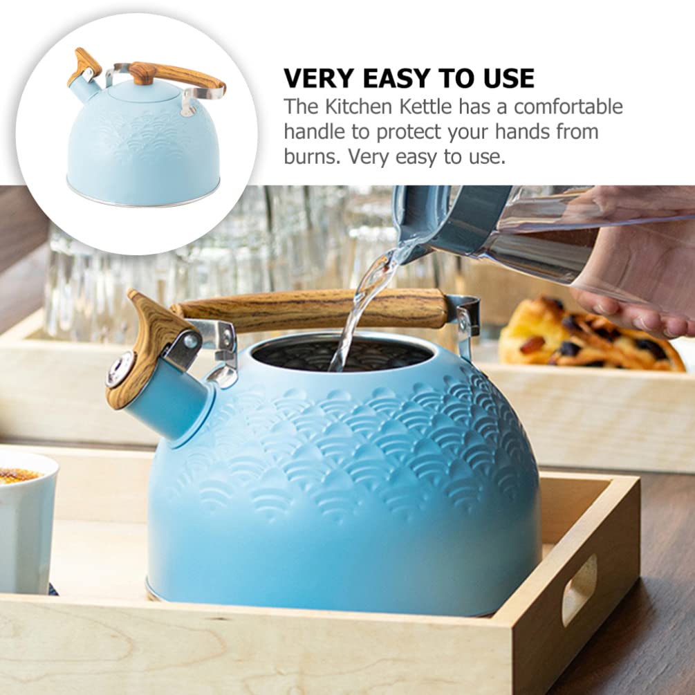 Bollitore con fischio Bollitore per il tè piano cottura Bollitore per il tè bollente teteras para hervir agua teiera Forte caffettiera retrò Bollitore con fischio per il ristorante Prepara il tè Pe