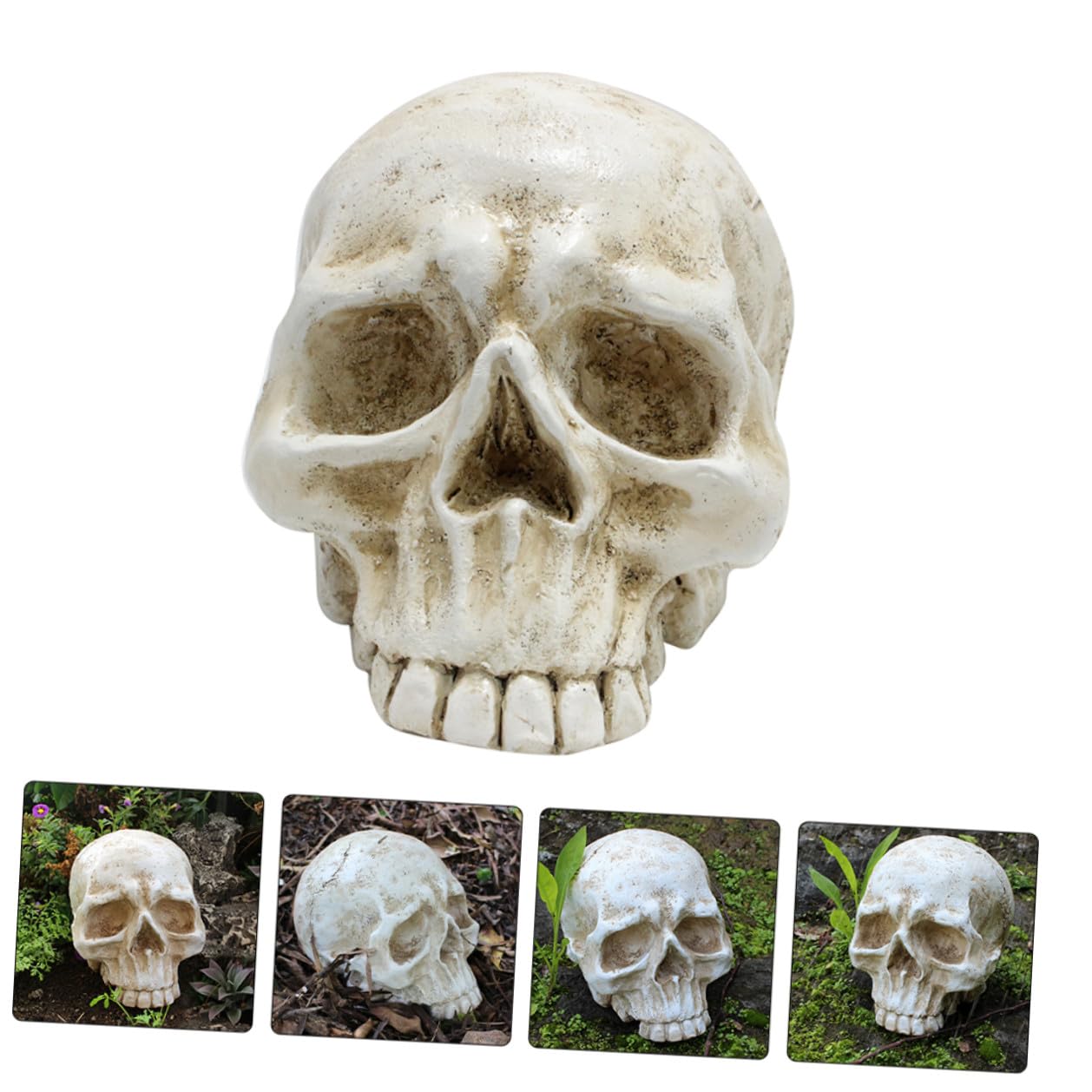 Levemolo Realistyczna Dekoracja Czaszki z Żywicy Halloween Symulowana Głowa Szkieletu Ozdoba Do Wnętrz i Ogrodów Idealna Do Imprez i Dekoracji Strasznych Miejsc