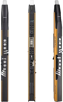 AP 300 Pro Electronic Wind Instrument
