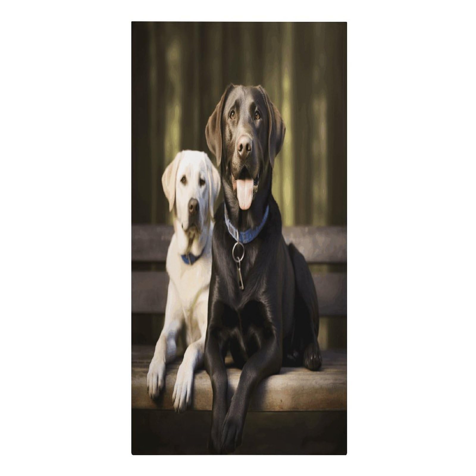 VstaDank Labrador Beach Towels 30"x61" Microfiber Super Absorbent Large Bath Towels Cozy Soft Swim Travel Towel Quick Dry Thin Pool Towel Beach Accessories for Outdoor Adult