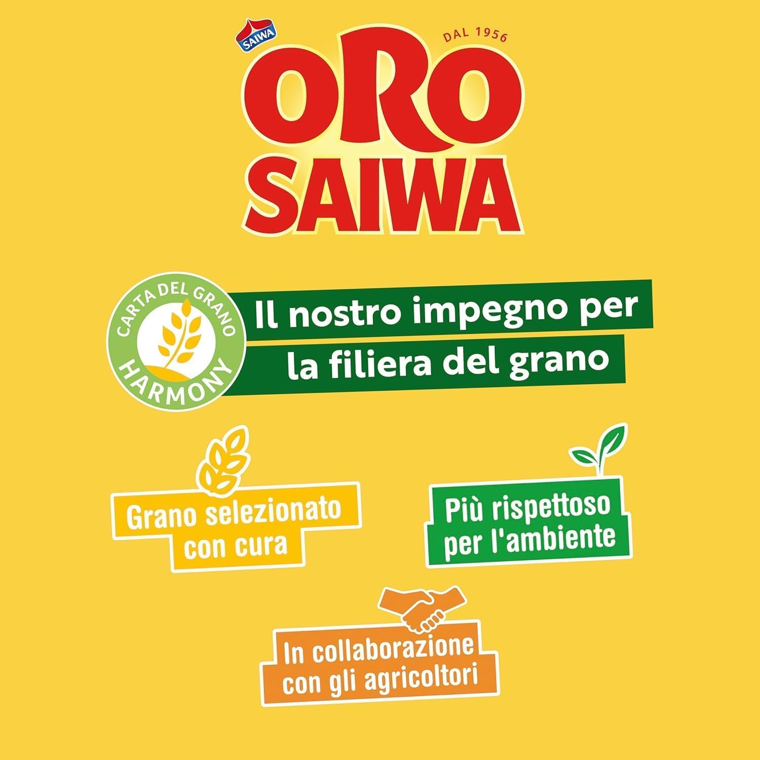 Italian Gourmet Bundle Vollkorn-Kakao-Kekse mit Schokostückchen 12x 300g + Italian Gourmet Polpa Gratis – Italienische Kakao-Frollini mit Haferflocken, ballaststoffreiche Frühstückskekse