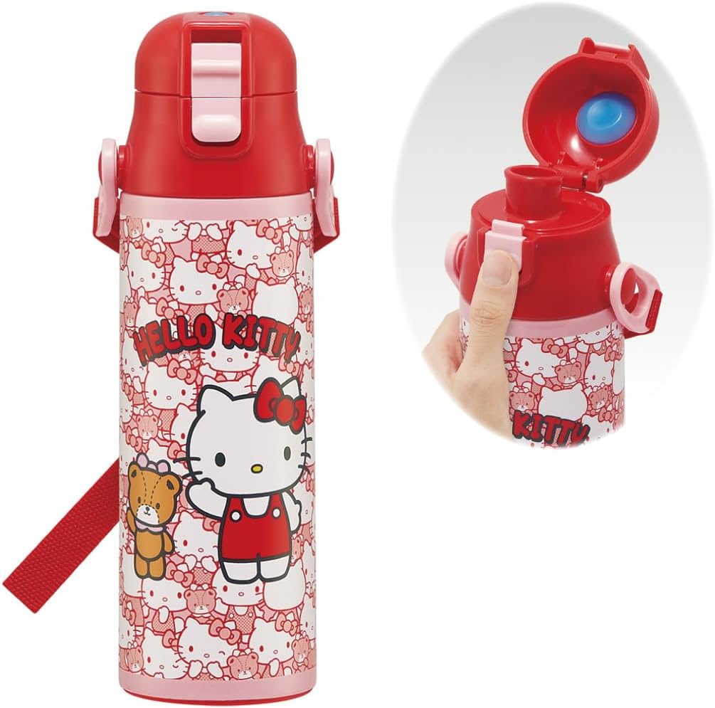 Skater - Stainless Steel Water Bottle with Carabiner Handle, Insulated and Cold Water Bottle, Sanrio Hello Kitty Double Wall Vacuum Insulated Water Bottle - Soup Balloons STBC6-A