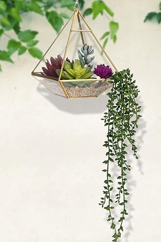 Miniatura 7 de Meneco Plantas artificiales de imitación suculentas, paquete de 16 con 2 paquetes de plantas falsas de perlas