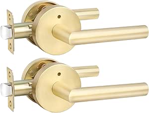goldenwarm 2 Pack Gold Interior Door Handle, Brushed Gold Privacy Lever ...